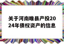 关于河南睢县产投2024年债权资产的信息