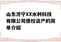 山东济宁XX水利科技有限公司债权资产的简单介绍