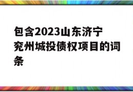 包含2023山东济宁兖州城投债权项目的词条