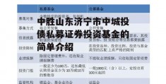 中胜山东济宁市中城投债私募证券投资基金的简单介绍