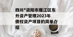 四川*资阳市雁江区东升资产管理2023年债权资产项目的简单介绍