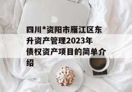 四川*资阳市雁江区东升资产管理2023年债权资产项目的简单介绍