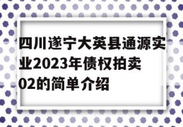 四川遂宁大英县通源实业2023年债权拍卖02的简单介绍