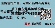 关于山东潍坊滨城投资政信债权一号的信息