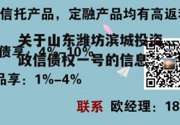 关于山东潍坊滨城投资政信债权一号的信息