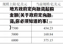 地方政府定向融资起购金额(关于政府定向融资,你必须知道的事!)