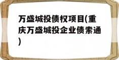 万盛城投债权项目(重庆万盛城投企业债索通)