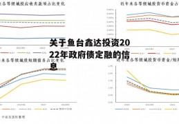 关于鱼台鑫达投资2022年政府债定融的信息