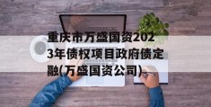 重庆市万盛国资2023年债权项目政府债定融(万盛国资公司)