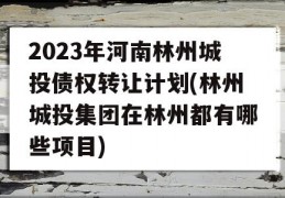 2023年河南林州城投债权转让计划(林州城投集团在林州都有哪些项目)