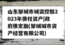 山东邹城市城资控股2023年债权资产|政府债定融(邹城城市资产经营有限公司)