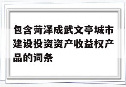 包含菏泽成武文亭城市建设投资资产收益权产品的词条