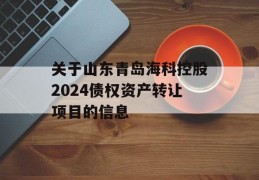 关于山东青岛海科控股2024债权资产转让项目的信息