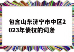 包含山东济宁市中区2023年债权的词条