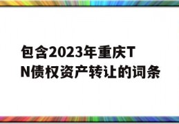 包含2023年重庆TN债权资产转让的词条