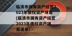 临清市国有资产经营2023年债权资产项目(临清市国有资产经营2023年债权资产项目清单)