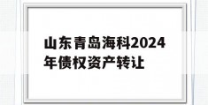 山东青岛海科2024年债权资产转让