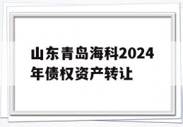 山东青岛海科2024年债权资产转让