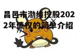 昌邑市渤维控股2022年债权的简单介绍