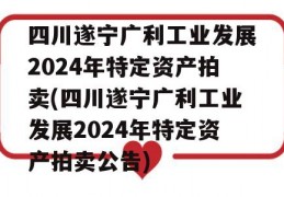 四川遂宁广利工业发展2024年特定资产拍卖(四川遂宁广利工业发展2024年特定资产拍卖公告)