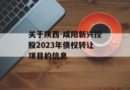 关于陕西-咸阳新兴控股2023年债权转让项目的信息