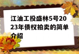 江油工投盛林5号2023年债权拍卖的简单介绍