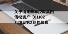 关于山东泰丰控股集团债权资产（01/02）项目第X期的信息