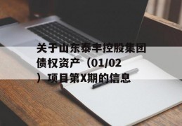 关于山东泰丰控股集团债权资产（01/02）项目第X期的信息