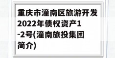 重庆市潼南区旅游开发2022年债权资产1-2号(潼南旅投集团简介)