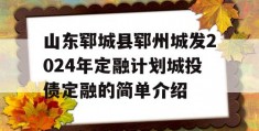 山东郓城县郓州城发2024年定融计划城投债定融的简单介绍