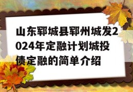 山东郓城县郓州城发2024年定融计划城投债定融的简单介绍