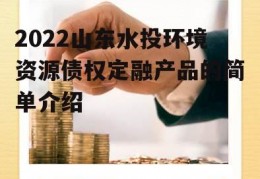 2022山东水投环境资源债权定融产品的简单介绍