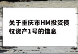 关于重庆市HM投资债权资产1号的信息