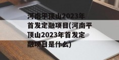 河南平顶山2023年首发定融项目(河南平顶山2023年首发定融项目是什么)