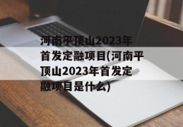 河南平顶山2023年首发定融项目(河南平顶山2023年首发定融项目是什么)