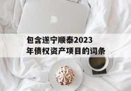 包含遂宁顺泰2023年债权资产项目的词条