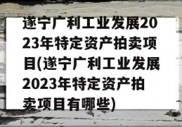 遂宁广利工业发展2023年特定资产拍卖项目(遂宁广利工业发展2023年特定资产拍卖项目有哪些)