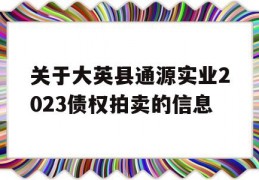 关于大英县通源实业2023债权拍卖的信息