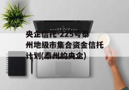 央企信托-225号泰州地级市集合资金信托计划(泰州的央企)