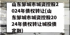 山东邹城市城资控股2024年债权转让(山东邹城市城资控股2024年债权转让城投债定融)