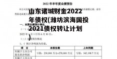 山东诸城财金2022年债权(潍坊滨海国投2021债权转让计划)