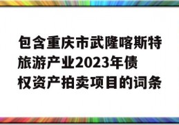 包含重庆市武隆喀斯特旅游产业2023年债权资产拍卖项目的词条