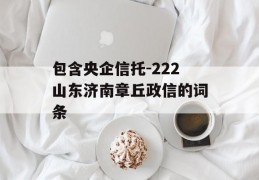 包含央企信托-222山东济南章丘政信的词条