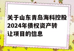 关于山东青岛海科控股2024年债权资产转让项目的信息