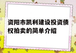 资阳市凯利建设投资债权拍卖的简单介绍