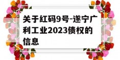 关于红码9号-遂宁广利工业2023债权的信息