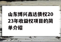 山东博兴鑫达债权2023年收益权项目的简单介绍