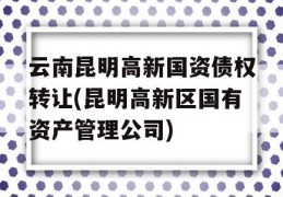 云南昆明高新国资债权转让(昆明高新区国有资产管理公司)