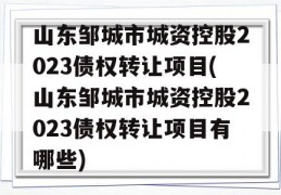 山东邹城市城资控股2023债权转让项目(山东邹城市城资控股2023债权转让项目有哪些)