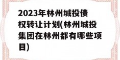 2023年林州城投债权转让计划(林州城投集团在林州都有哪些项目)